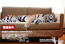 年賀状
